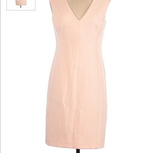 Gorgeous Blush Sheath Dress
